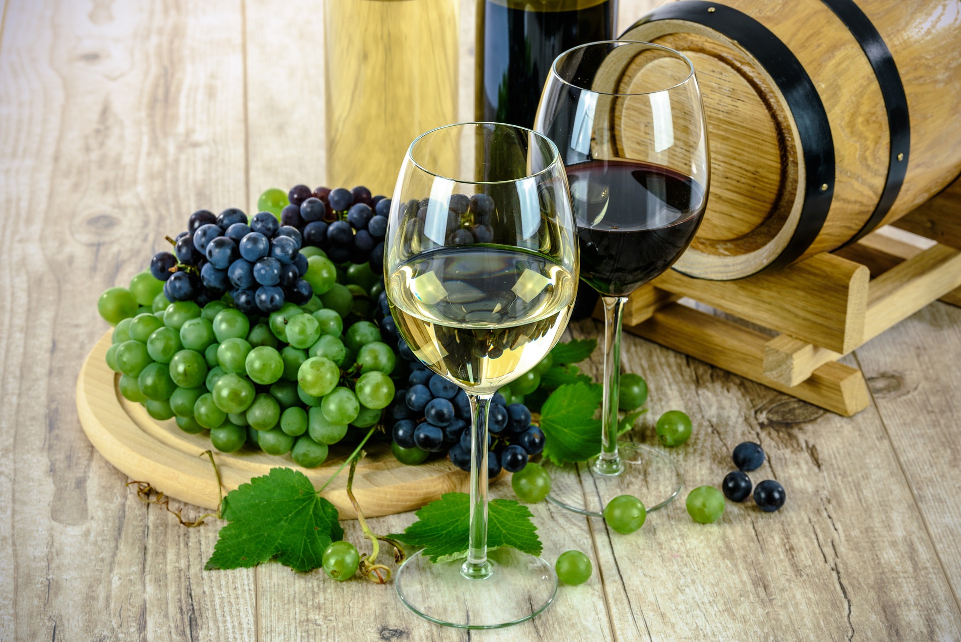    Cantina da vino | Cerchi informazioni su - Monteverdi